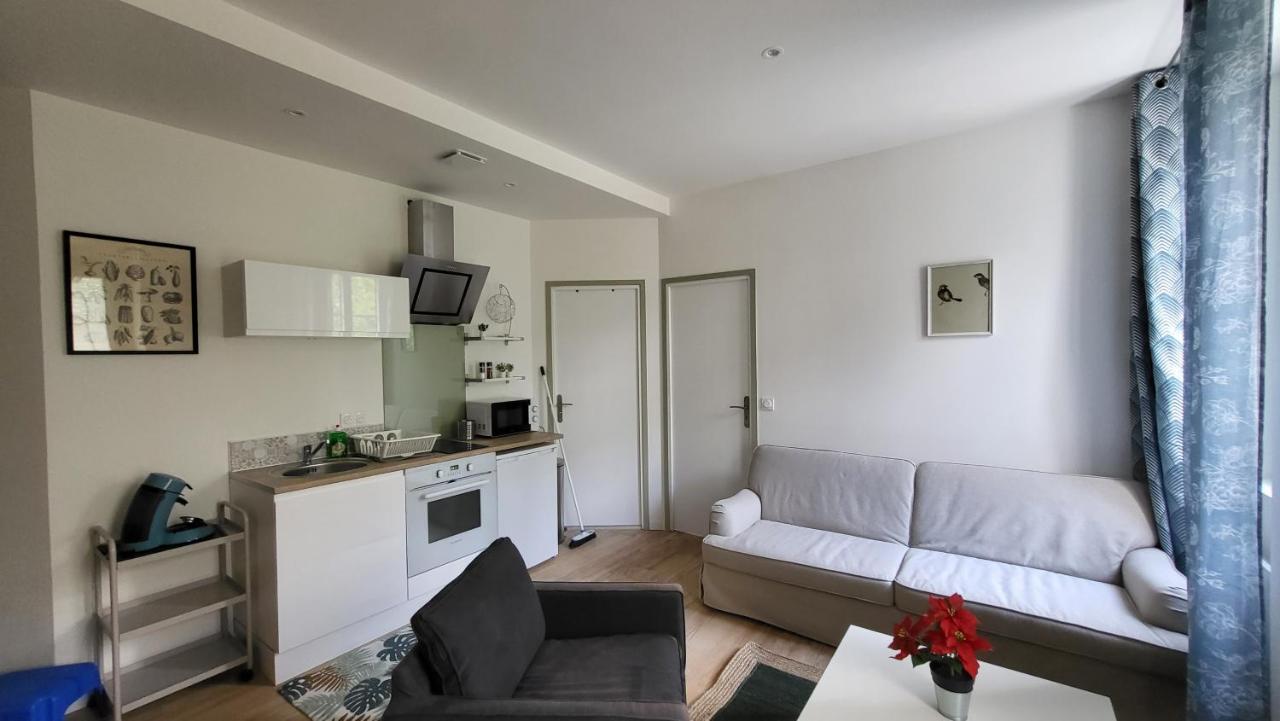 Charmant 2 Pieces Avec Terrasse Proche Centre Ville - Parking Gratuit A Proximite Lourdes Exterior photo